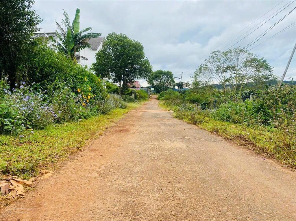 Đất nền biệt thự 2 mặt tiền kqh đường măng lin. dt 236m2, view thông đẹp, đường nhựa. giá 5.4 tỷ