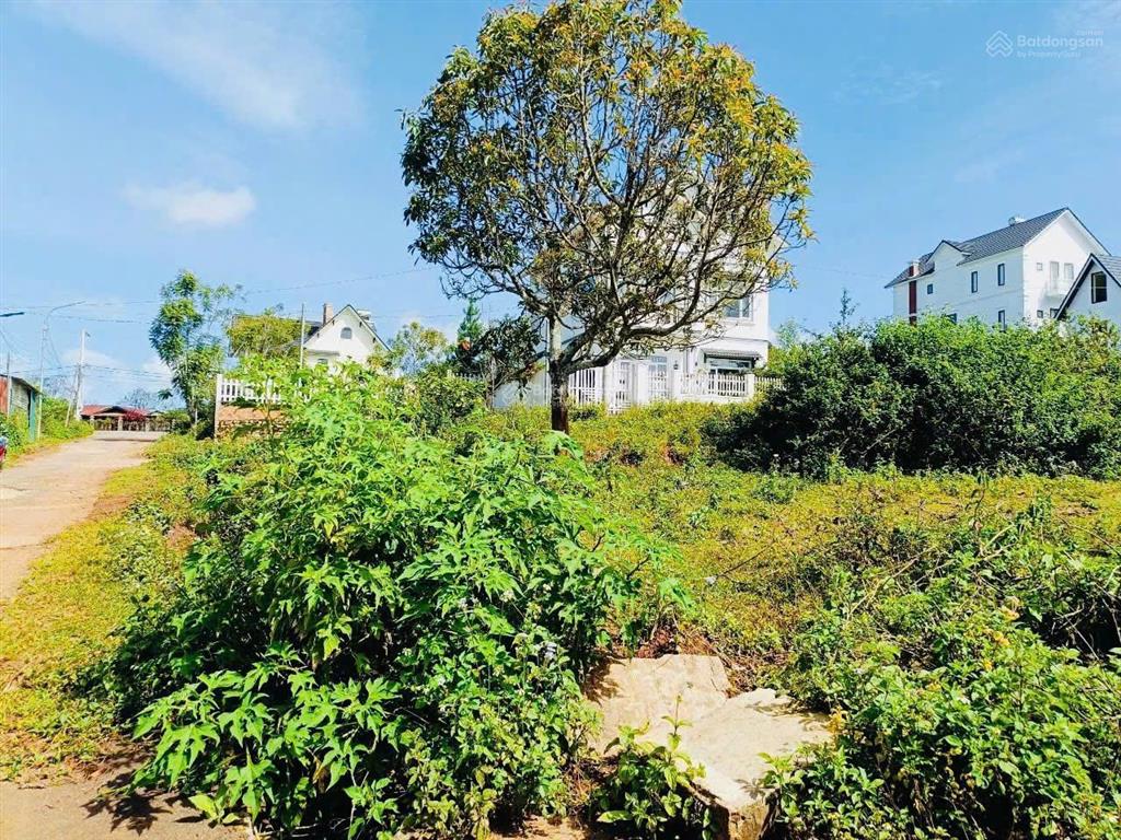 Đất nền biệt thự 2 mặt tiền kqh đường măng lin. dt 236m2, view thông đẹp, đường nhựa. giá 5.4 tỷ