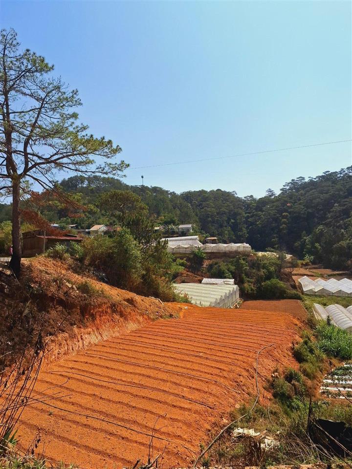 Đất nông nghiệp mặt tiền đường kim thạch, p7, tp đà lạt. dt 2262m2 ngang 40m. đường nhựa 20m
