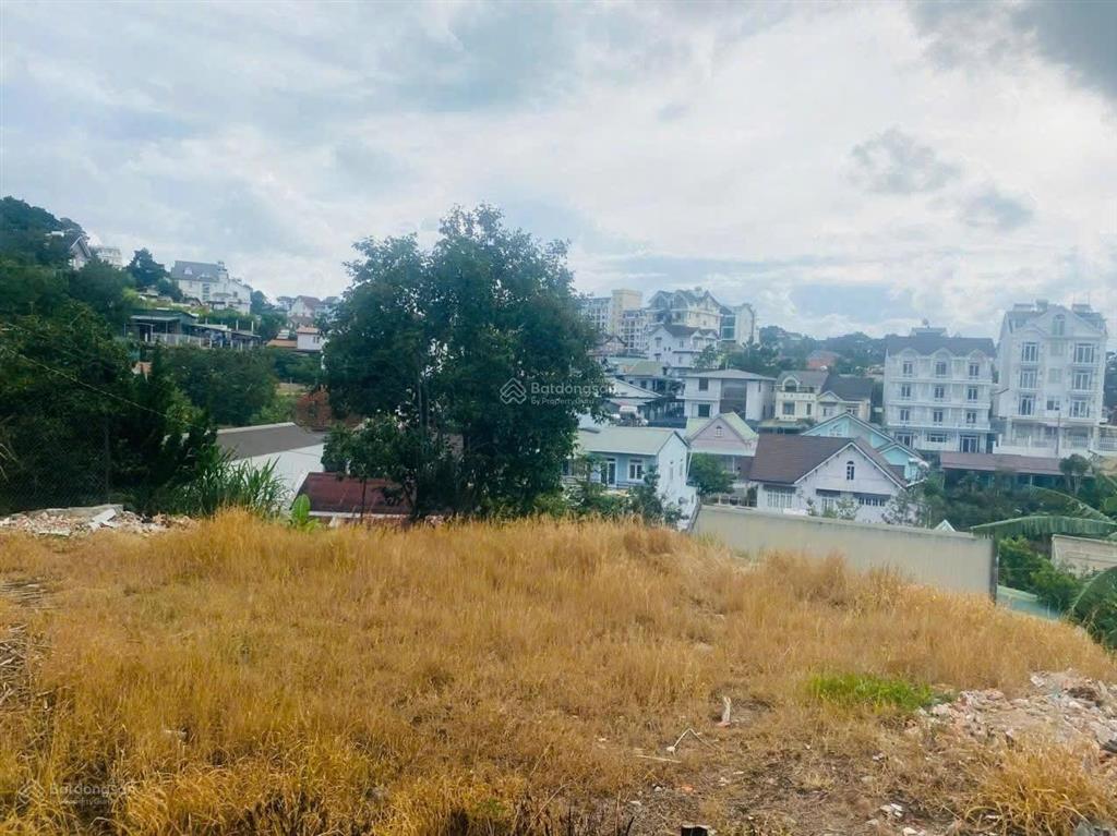 Đất biệt thự đường trịnh hoài đức, 412.95m2, cách hxh khoảng 4km, khu biệt thự sang trọng. 10.5 tỷ