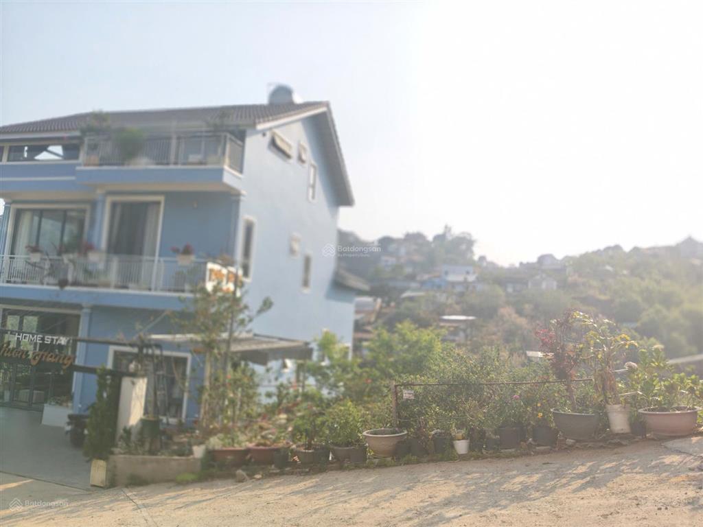 Đất biệt thự, view rừng thông, ô tô tận nơi đường hoàng hoa thám, đà lạt. dt 264m2. giá 10.5 tỷ