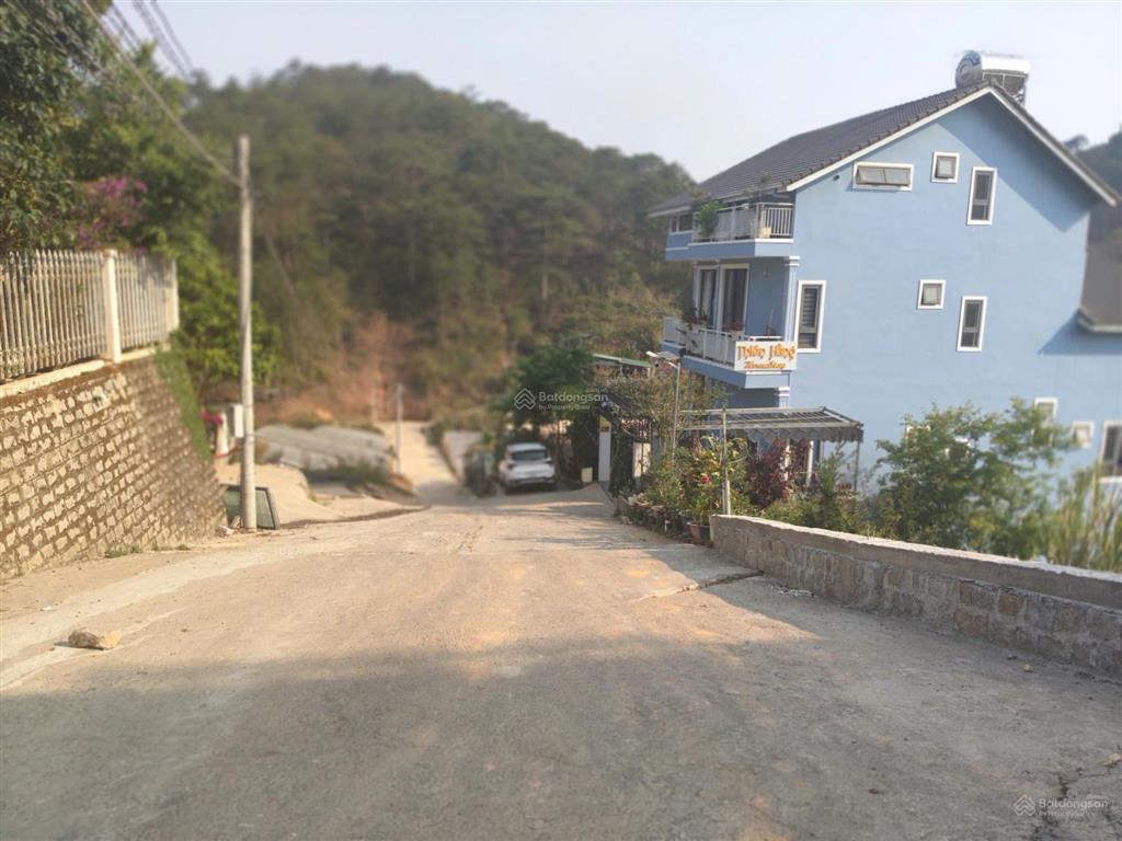 Đất biệt thự, view rừng thông, ô tô tận nơi đường hoàng hoa thám, đà lạt. dt 264m2. giá 10.5 tỷ