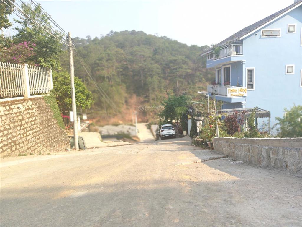 Đất biệt thự, view rừng thông, ô tô tận nơi đường hoàng hoa thám, đà lạt. dt 264m2. giá 10.5 tỷ