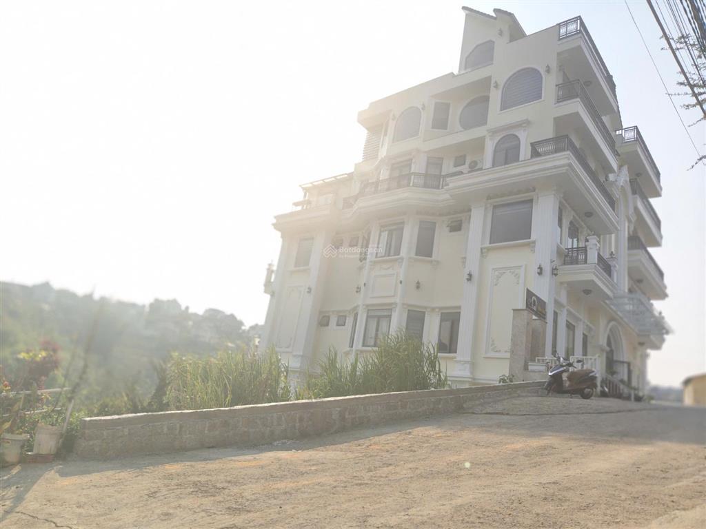 Đất biệt thự, view rừng thông, ô tô tận nơi đường hoàng hoa thám, đà lạt. dt 264m2. giá 10.5 tỷ