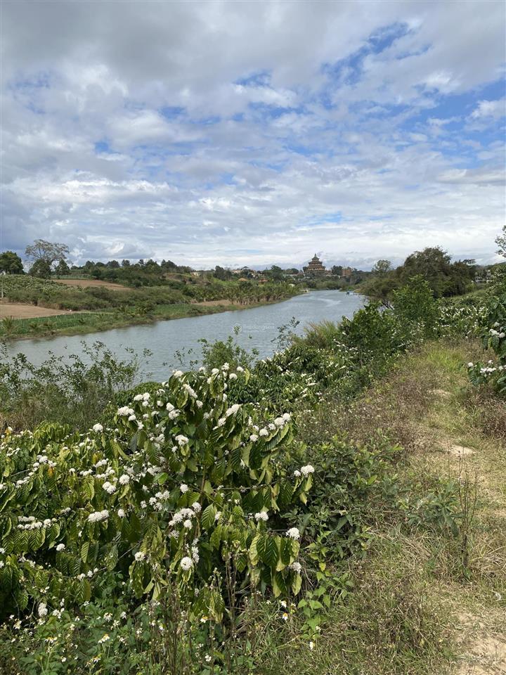 Đất view bờ sông làng chùa đại ninh ôm 2 mặt sông suối
