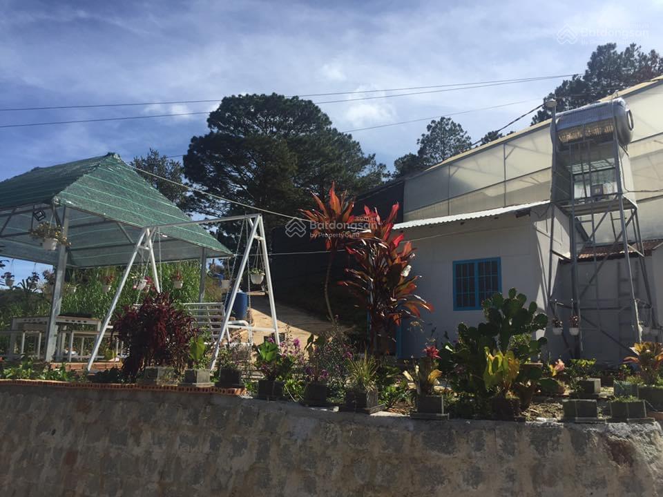 Bán khu đất và nhà nghỉ dưỡng tại 27a vạn thành, p 5, đà lạt, 33 tỷ, 3278m2 (có 300m2 thổ cư)