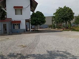 Cần bán 10.000m2 đất TMDV 50 năm tại mặt đường Huyện Ninh Giang, Tỉnh Hải Dương  