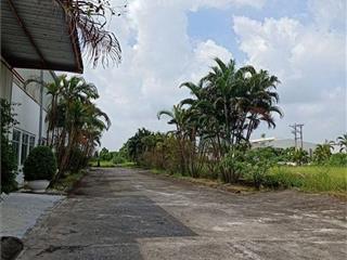 Bán 1,5ha đất kho nhà xưởng 50 năm tại Huyện Văn Giang, Tỉnh Hưng Yên  