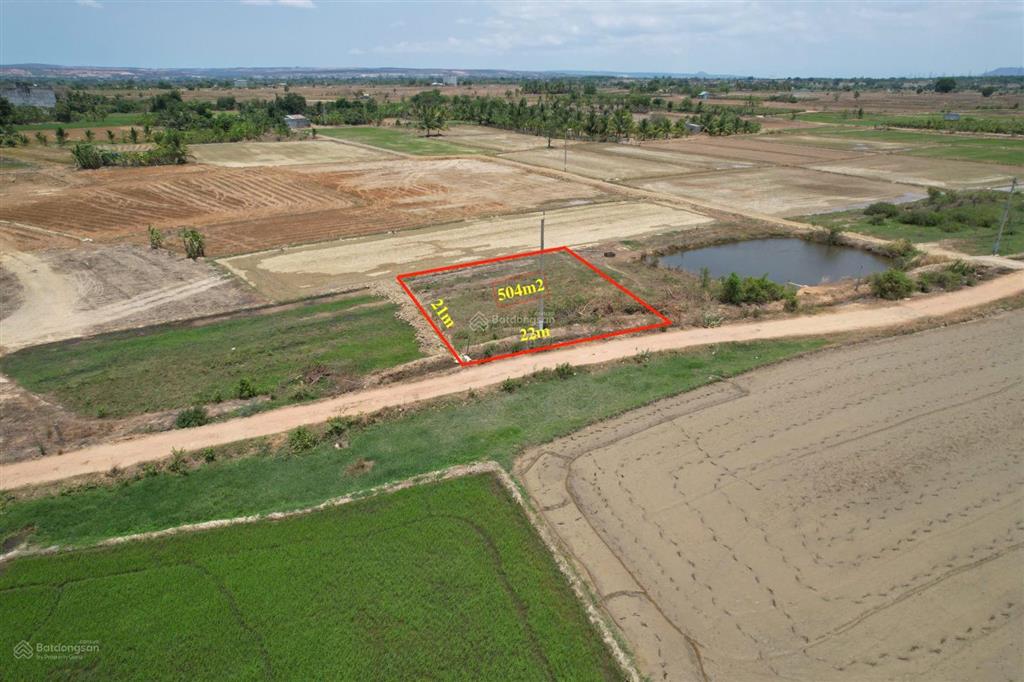 Diện tích 507m² giá chỉ 99 triệu
