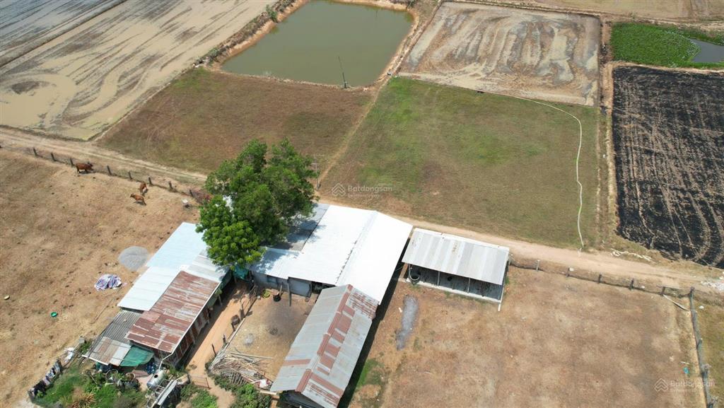 Bán đất 500,1100,2000m2 tại hải ninh, bắc bình, bình thuận. giá siêu hời chỉ với 99 triệu