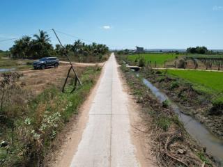 Bán đất 2000m2 tại hải ninh, bắc bình, giá siêu hời chỉ với 299 triệu