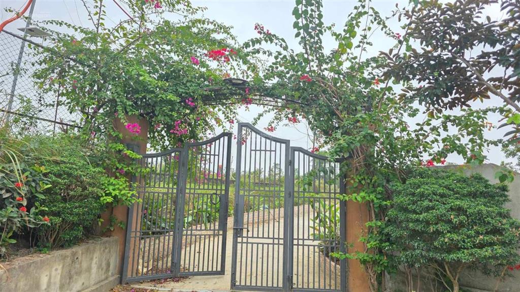 Bán biệt thự nhà vườn rộng hơn 1000m2 tại sóc sơn, hà nội