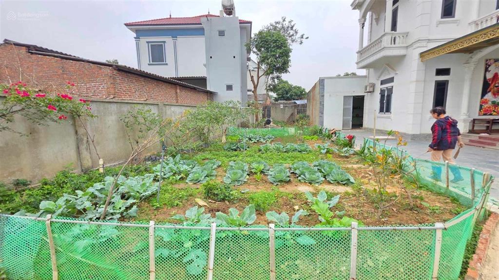 Bán biệt thự nhà vườn rộng hơn 1000m2 tại sóc sơn, hà nội