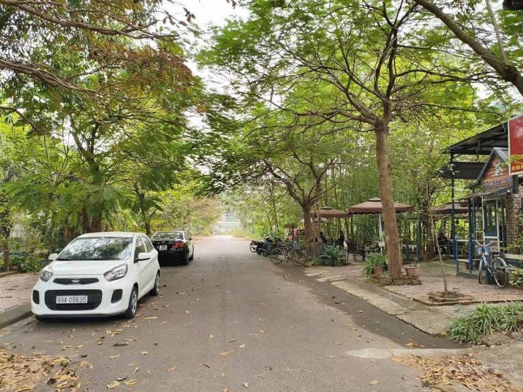 Bán đất trang hạ từ sơn dt 120m mt 5m hướng đông giá 6.4 tỷ