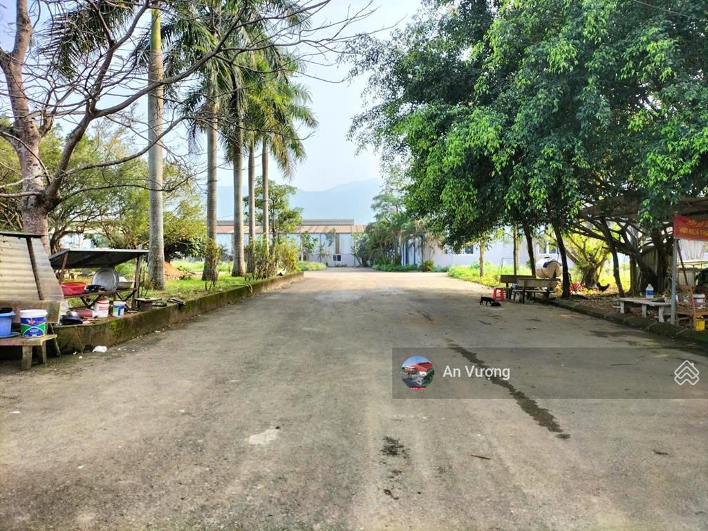 Bán nhà xưởng tại gia lâm, hà nội. dt 6.500m2