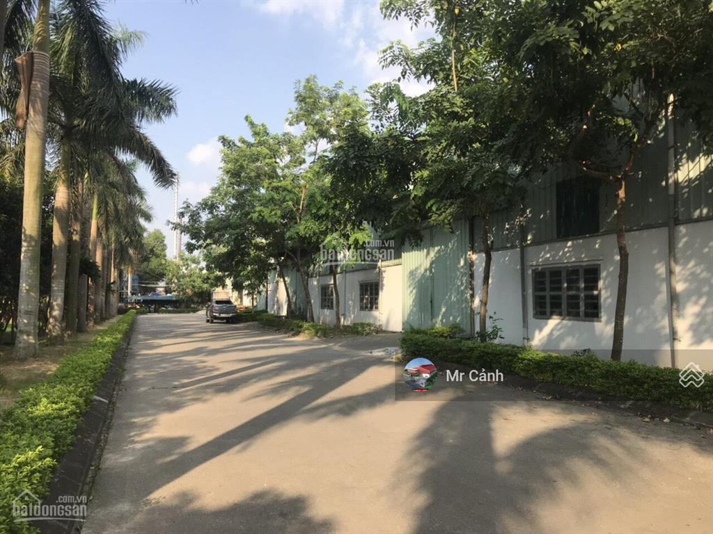 Cho thuê kho dt 5500m² tại ccn hà bình phương, thường tín.  0904 648 ***