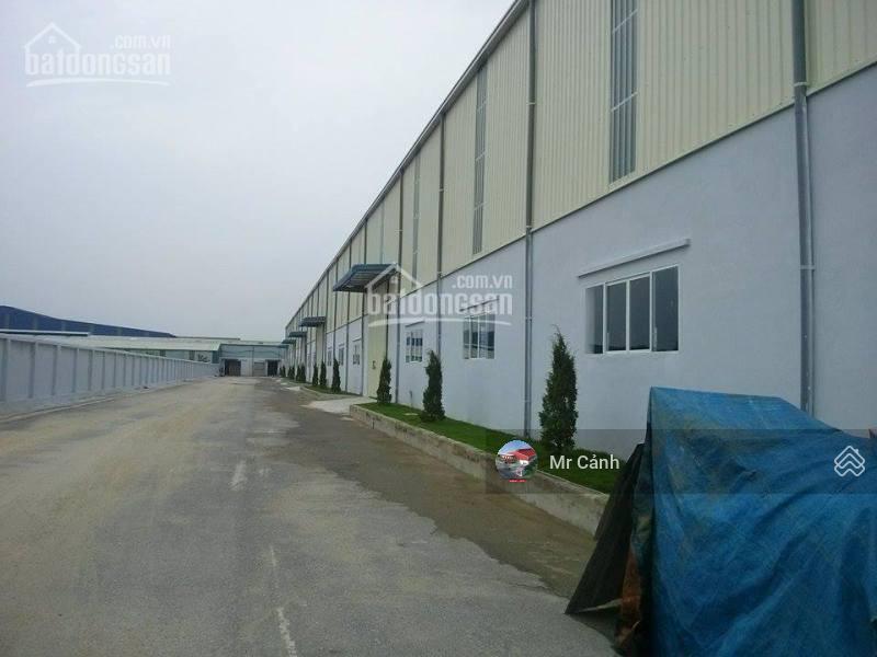 Cho thuê kho dt 5500m² tại ccn hà bình phương, thường tín.  0904 648 ***