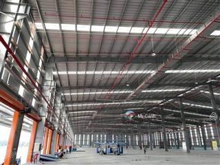 Chủ đầu tư kcn cho thuê kho xưởng, dt đa dạng đến 6.000m2 tại kcn quang minh