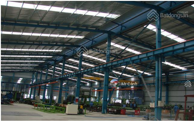 Chủ đầu tư kcn cho thuê kho xưởng, dt đa dạng đến 6.000m2 tại kcn quang minh