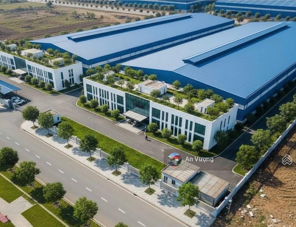 Cho thuê kho xưởng tại ccn tiêu chuẩn, tỉnh ninh bình (nam định cũ). dt đa dạng đến 20.000m2
