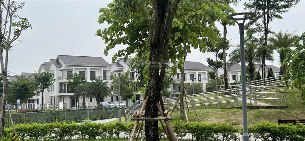 Rổ hàng công ty các căn góc  xẻ khe zone 3+4, anh chị mua ưu tiên vị trí đẹp ạ