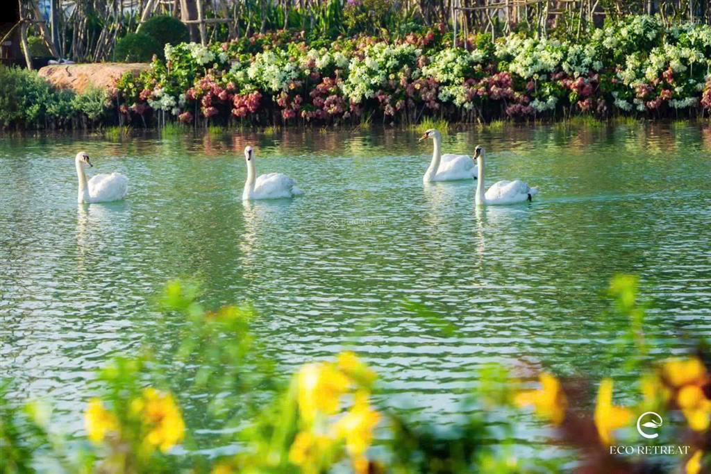 Rẻ nhất rừng mai khách em bán chênh chỉ 400tr, gần công viên, chỗ đậu xe