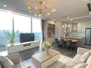 Hot chính chủ cho thuê căn the nine, 100m2, 3pn full, đẹp, giá 25tr.  0899 511 ***