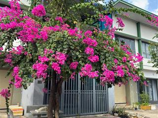 Bán nhà 2 tầng 80m2 giá chỉ 1.580 tỷ phường thới hoà tp. hcm