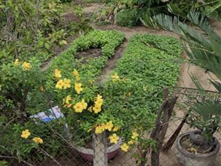 Bán đất thổ cư tại thôn hải triều khu dân cư đông đúc