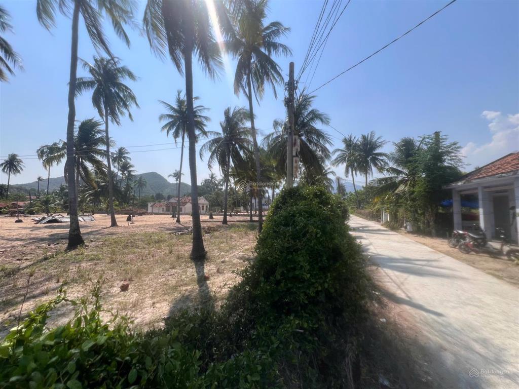 Đất full thổ cư cần chuyển nhượng tại xã đại lãnh, khánh hòa