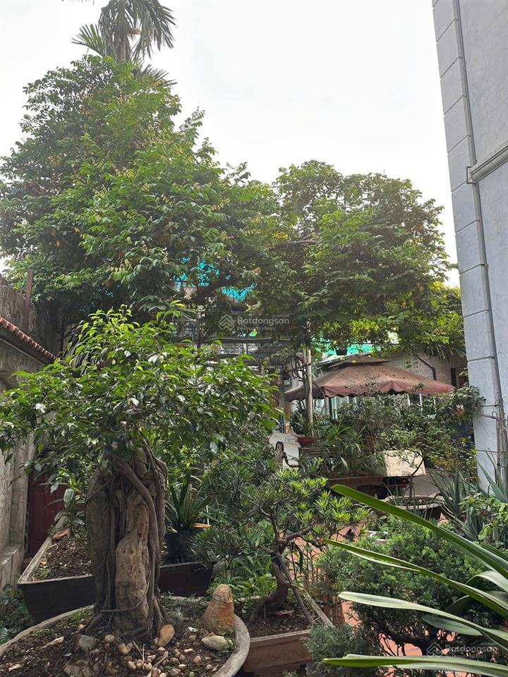 Cần bán gấp căn biệt thự cà phê sân vườn tại tuyến 2 trường chinh kiến an