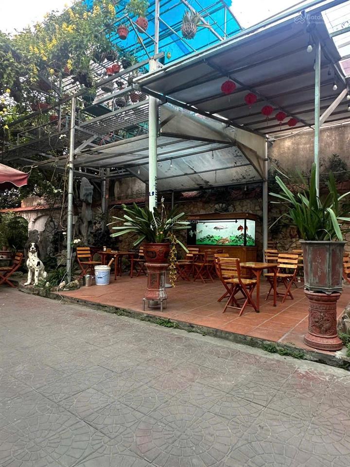Cần bán gấp căn biệt thự cà phê sân vườn tại tuyến 2 trường chinh kiến an