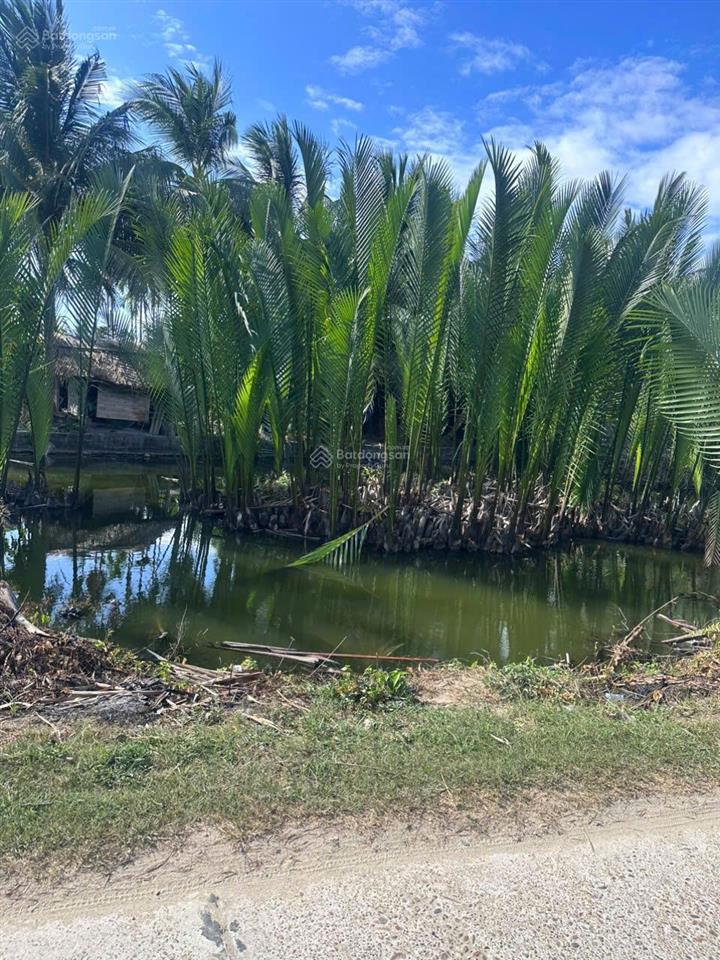 Bán đất view hồ cẩm thanh vị trí đẹp , view hồ thích hợp xây homestay