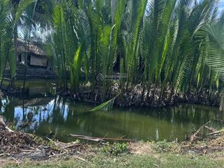 Bán đất view hồ cẩm thanh vị trí đẹp , view hồ thích hợp xây homestay