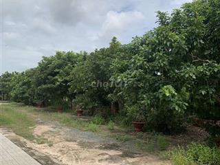 Đất nhà vườn