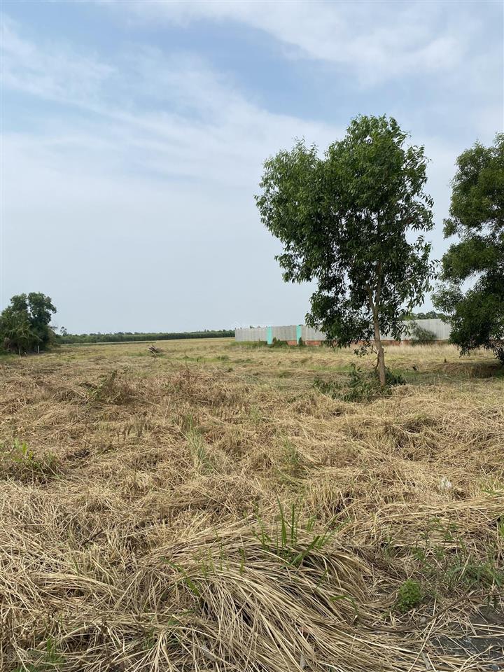 Bán đất vườn 3000m² mt đường kênh 10 gần vđ 3. giá 9,5 tỷ