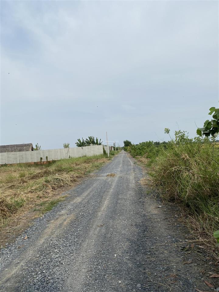 Bán đất vườn 3000m² mt đường kênh 10 gần vđ 3. giá 9,5 tỷ