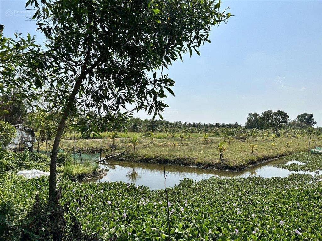 Bán đất đường kênh 9 (võ văn kiệt) lê minh xuân, bình chánh
