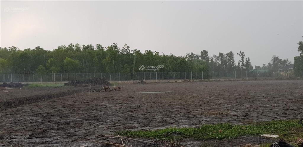 Bán đất vườn sát vành đai 3, lê minh xuân. giá 3,6 tỷ