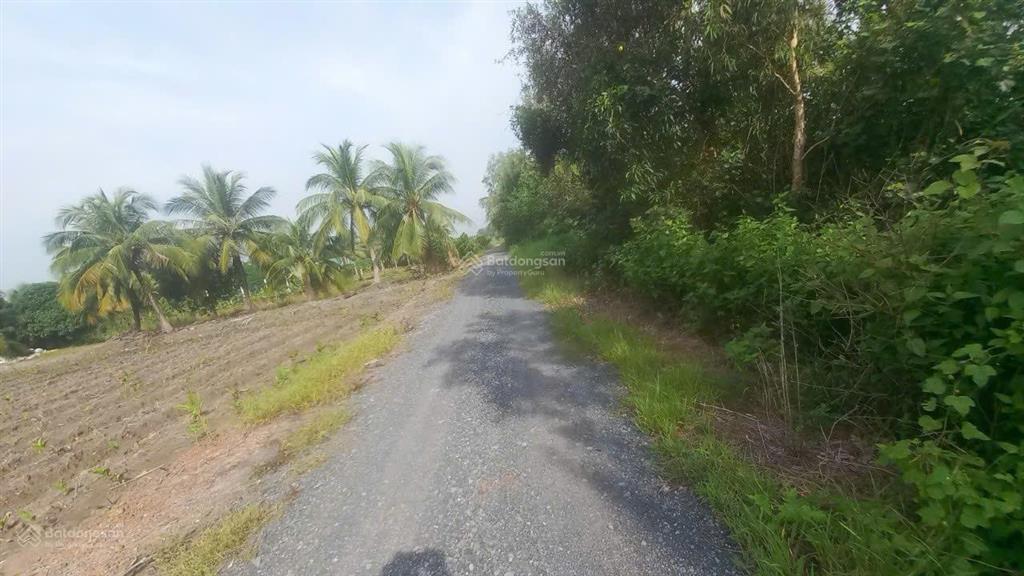Bán đất vườn 1.000m² đường kênh 10. giá 3 tỷ