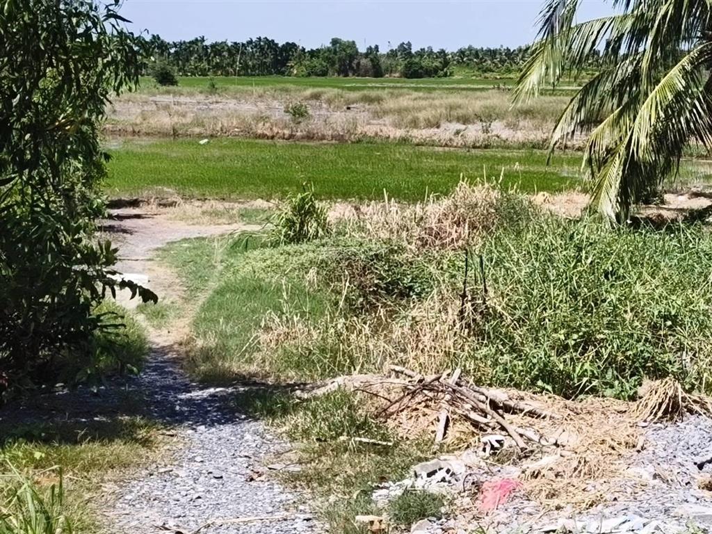 Bán 3.000m² đất kênh 9 (võ văn kiệt) lê minh xuân. giá 9 tỷ