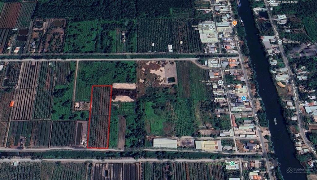 Bán đất đường vườn thơm  kênh 6  xã bình lợi  h. bình chánh