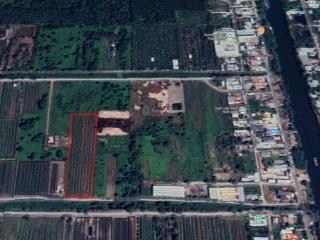 Bán đất đường vườn thơm  kênh 6  xã bình lợi  h. bình chánh