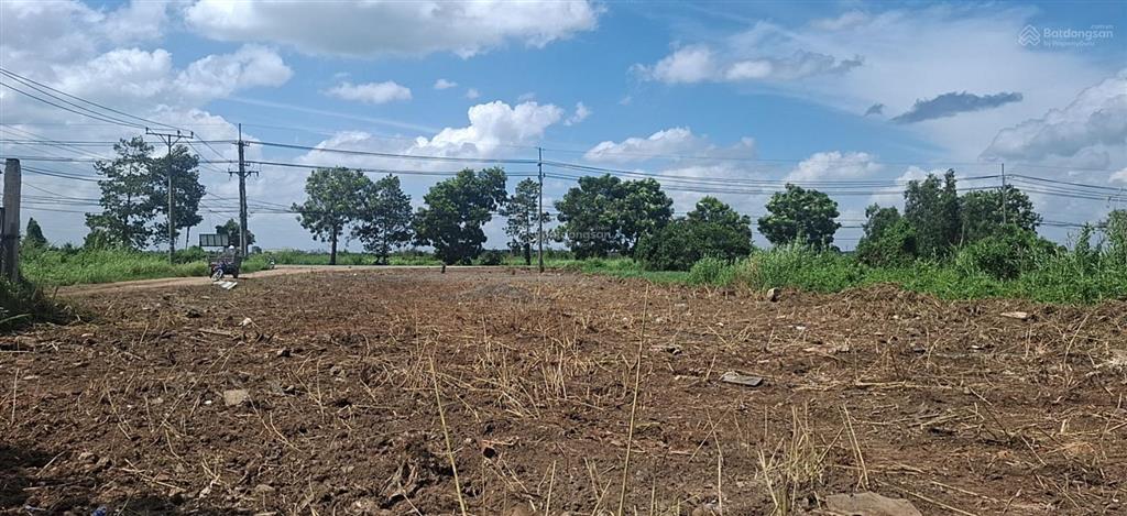 Cho thuê mặt bằng 1700m trần đại nghĩa, lê minh xuân