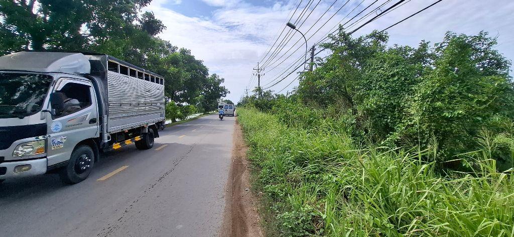 BÁN ĐẤT VƯỜN ĐƯỜNG TRẦN ĐẠI NGHĨA, GÓC 2 MẶT TIỀN