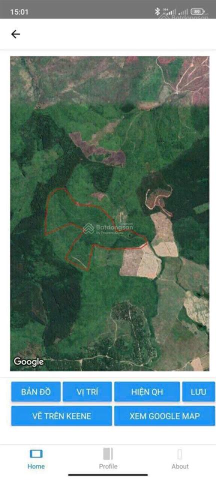11.4ha xã ninh quang, chính giữa 2 cao tốc