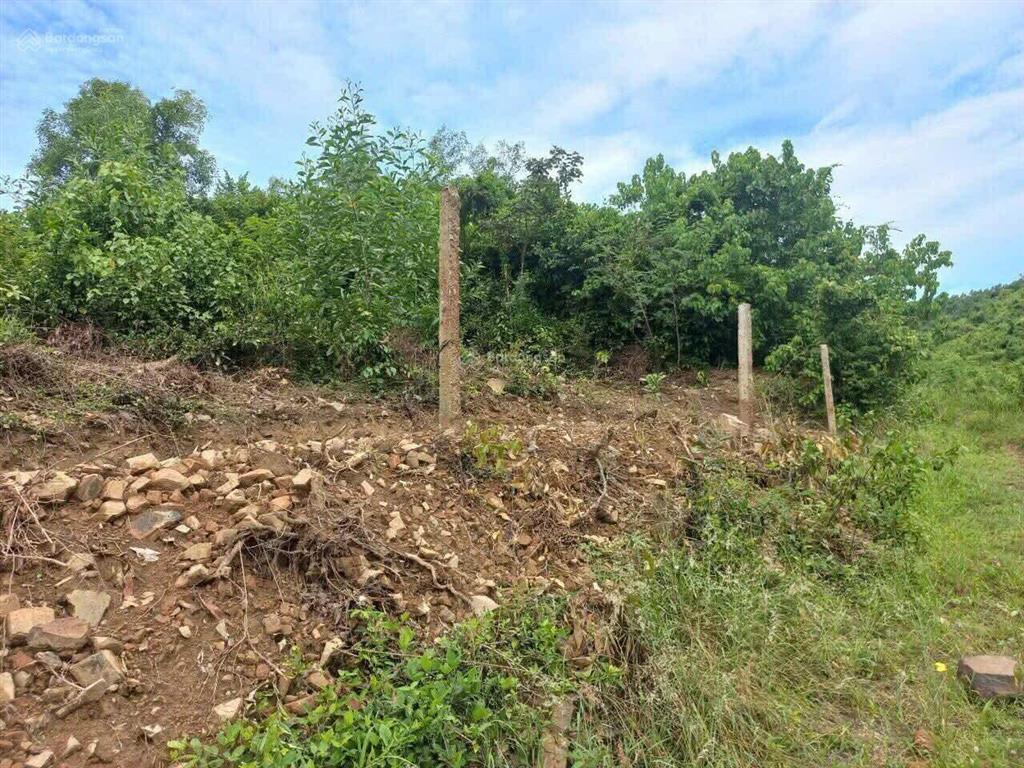 11.4ha xã ninh quang, chính giữa 2 cao tốc