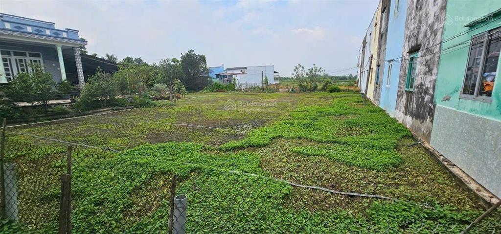 Bán đất 300m2 thổ cư (10 x 32) nở hậu thị trấn cần giuộc. khu tập đoàn 4