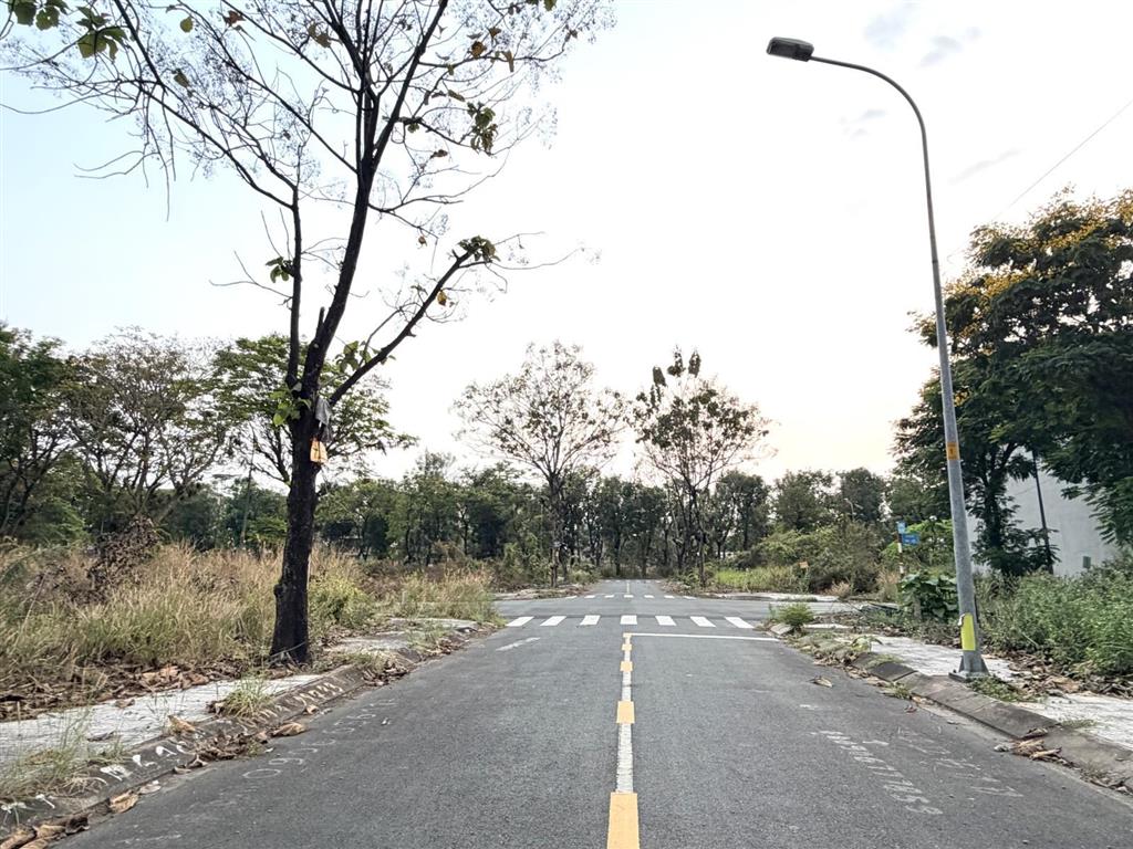 Bán đất lô góc sổ đỏ cát lái, mặt hông view công viên, dt 10.125x20m, giá 90 triệu/m²