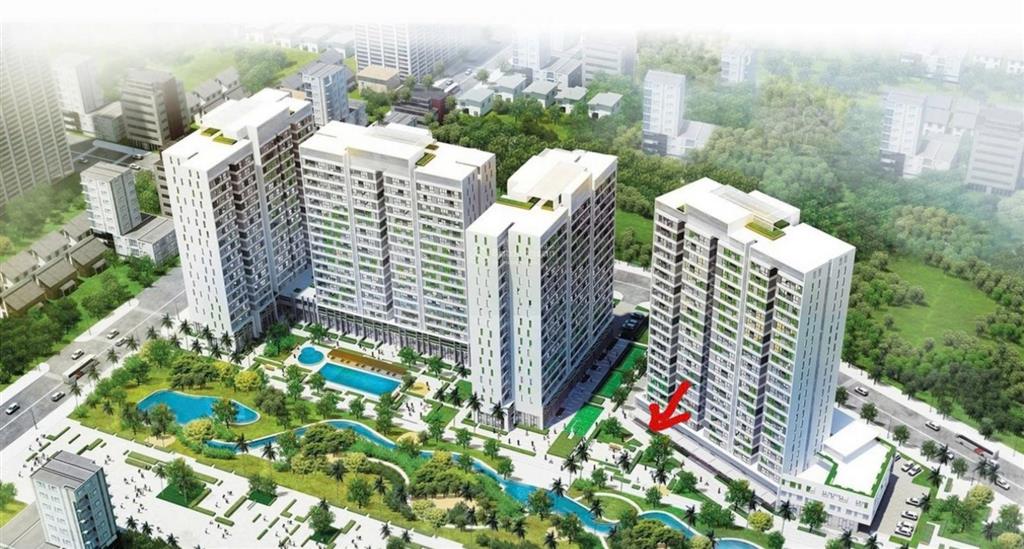 Bán đất cát lái, sổ đỏ cá nhân, dt 5x20m, đường 12m sát trường học cấp 2, chỉ 72 triệu/m²